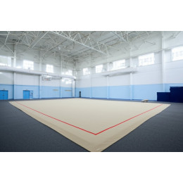 Тренировочный ковер 13х13м (материал Россия)