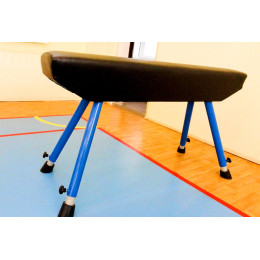 Конь гимнастический прыжковый