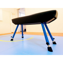 Конь гимнастический прыжковый